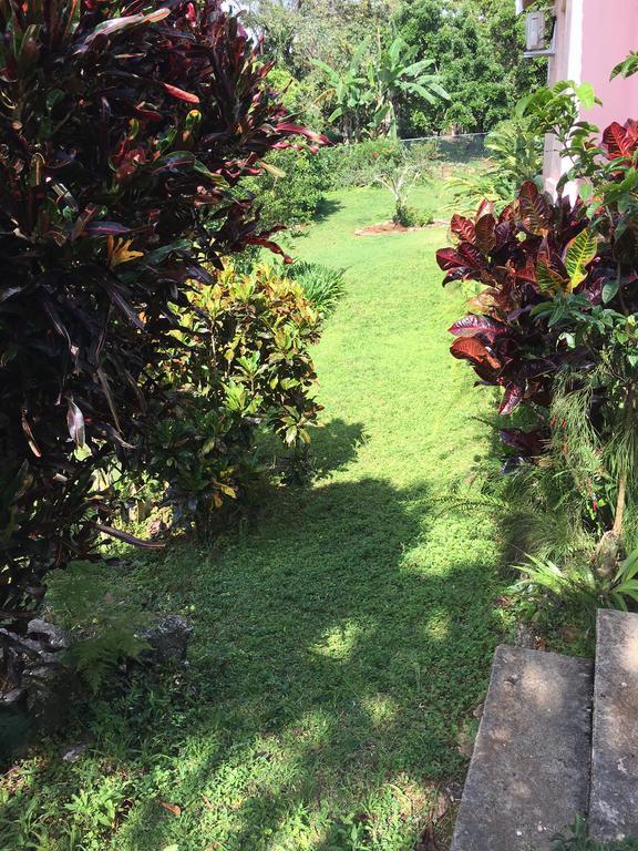 Agapantha Bed & Breakfast