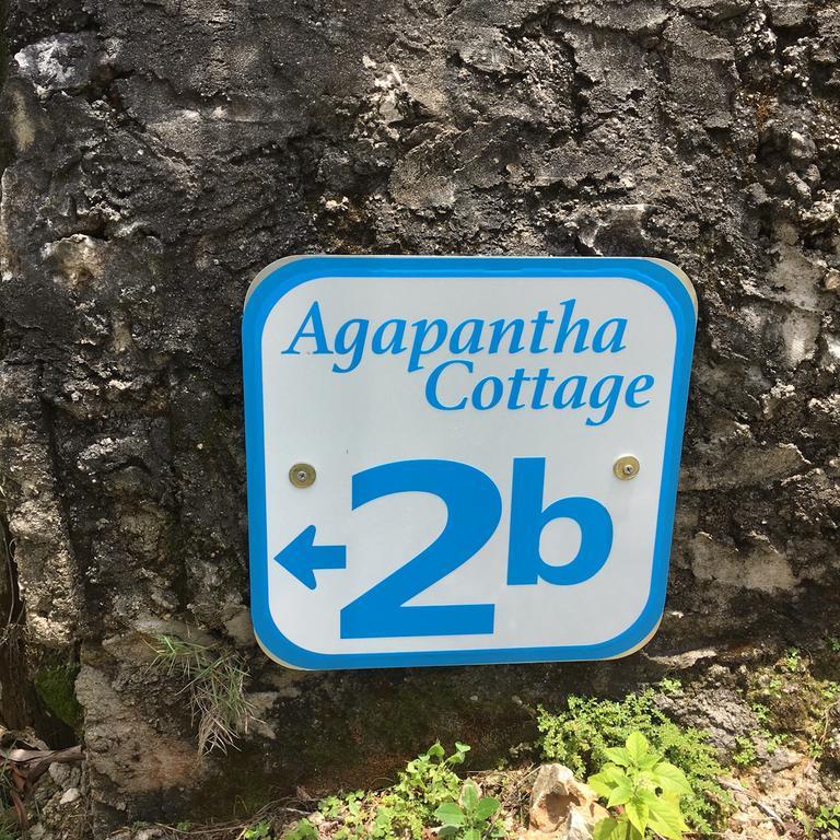 Agapantha Mandeville