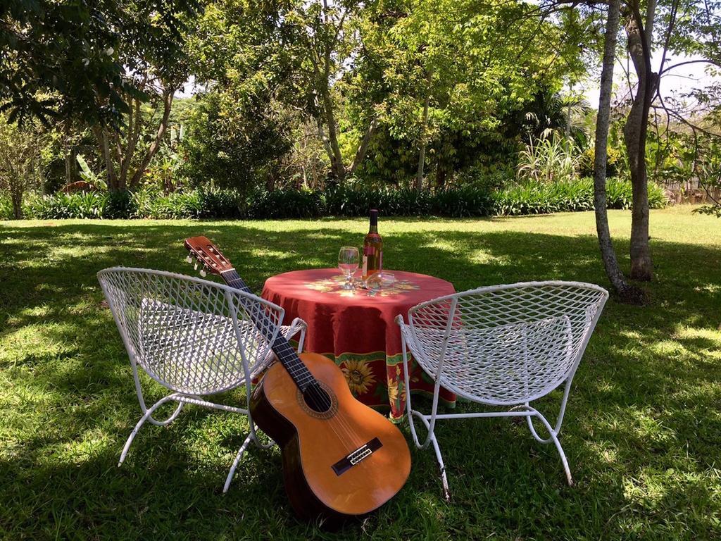 Agapantha Bed & Breakfast Mandeville