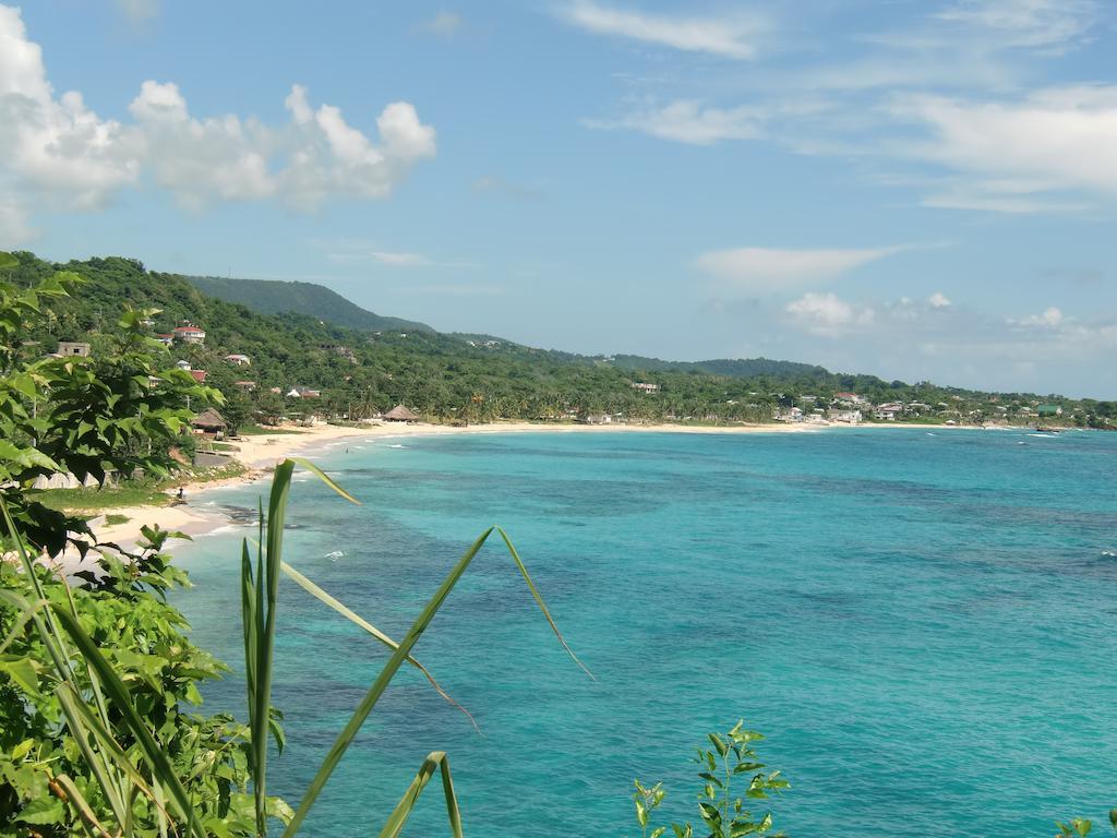 Pimento Alojamento Port Antonio