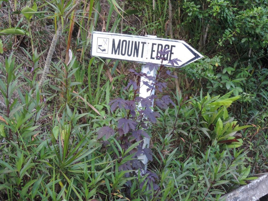 Guest house Mount Edge Port Antonio