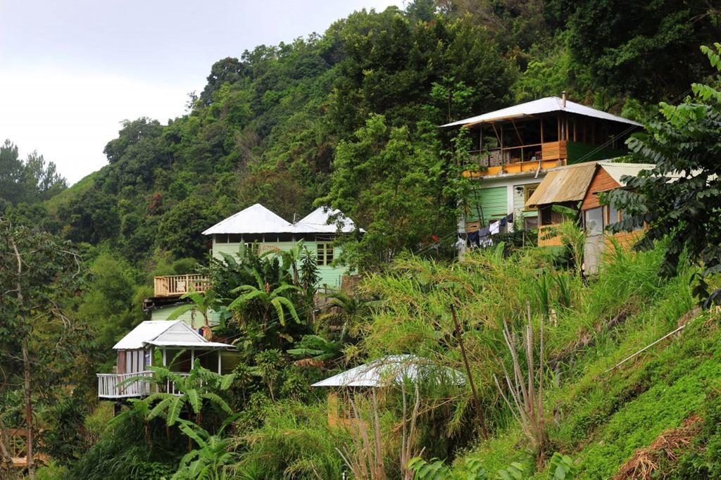Mount Edge Port Antonio