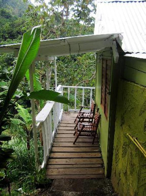 Guest house Mount Edge Port Antonio
