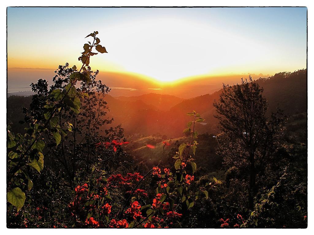 Mount Edge *