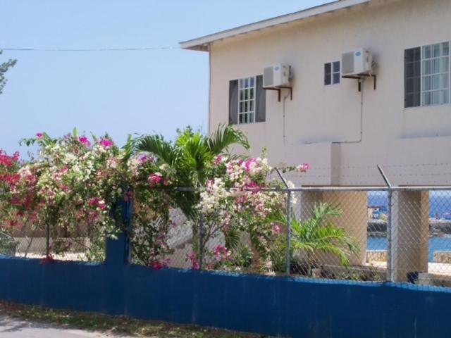 Alvynegril Casa de hóspedes 2*