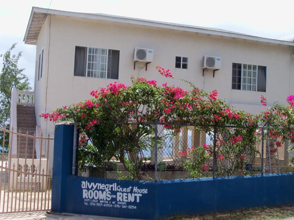 Casa de hóspedes Alvynegril