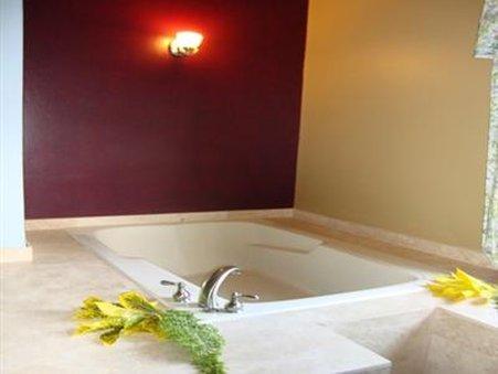 Apartment Paradise Tropical Spice - *