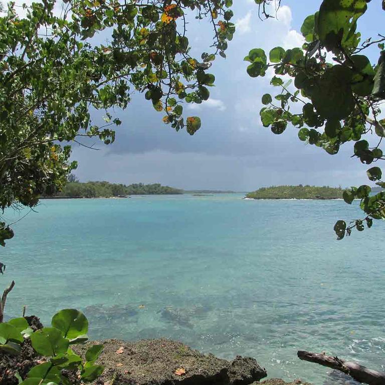 Cottages On Half Moon Beach * Green Island