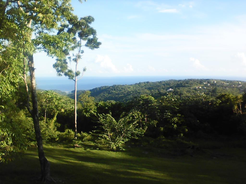 Guest house Shotover Gardens Estate Port Antonio