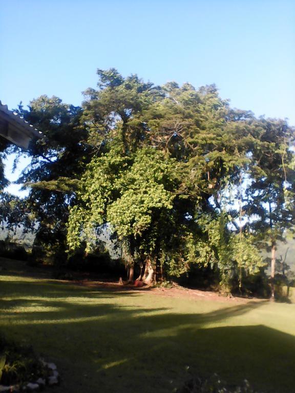 Shotover Gardens Estate Guest house *