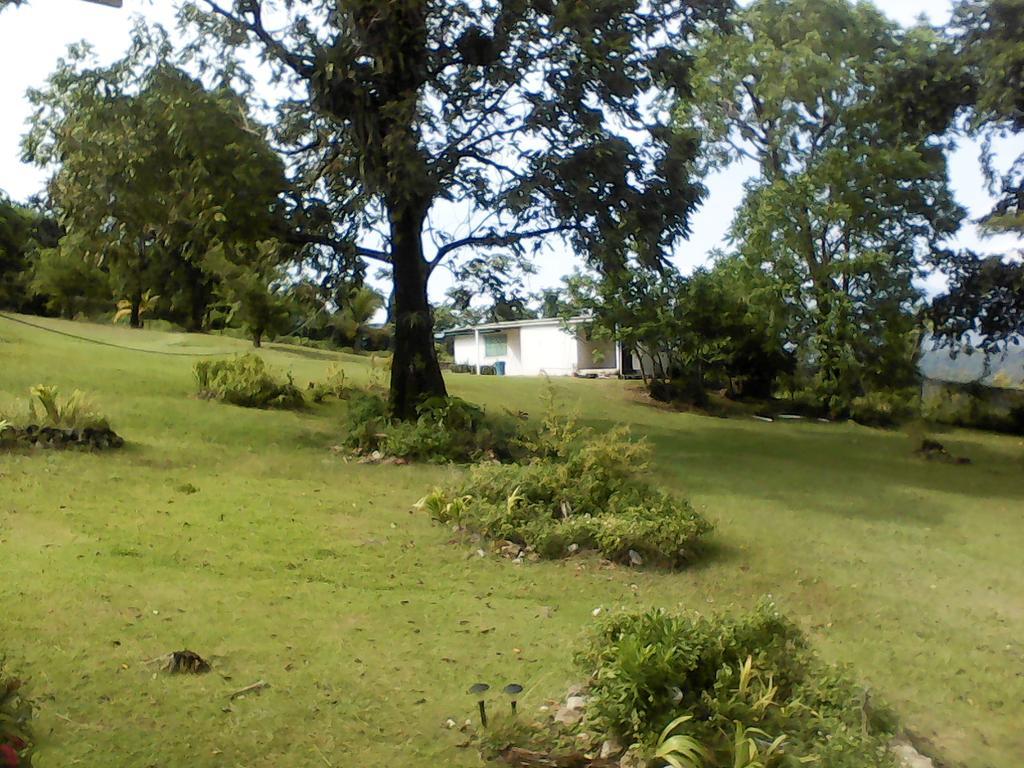 Shotover Gardens Estate Port Antonio