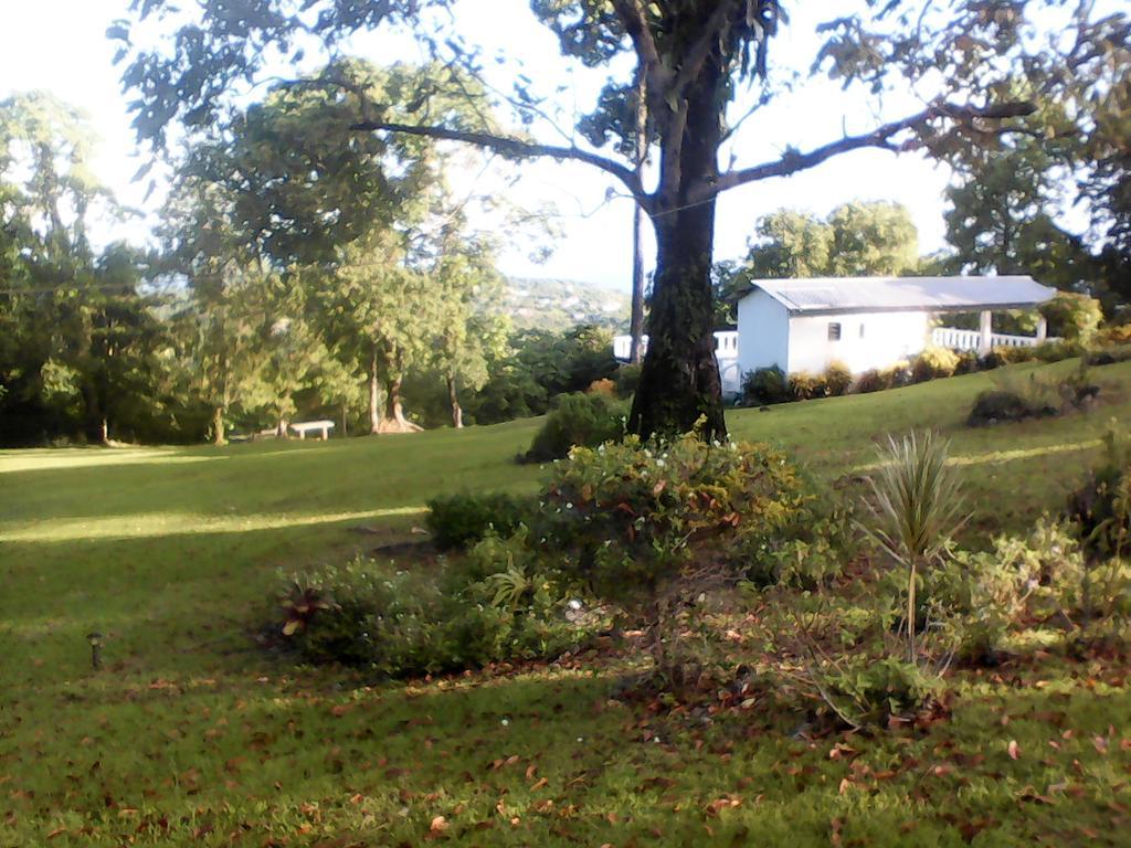 Shotover Gardens Estate * Port Antonio