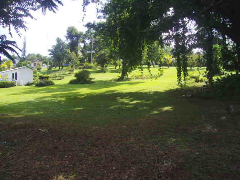 Shotover Gardens Estate * Port Antonio