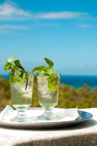Bed & Breakfast Mynt Retreat Montego Bay
