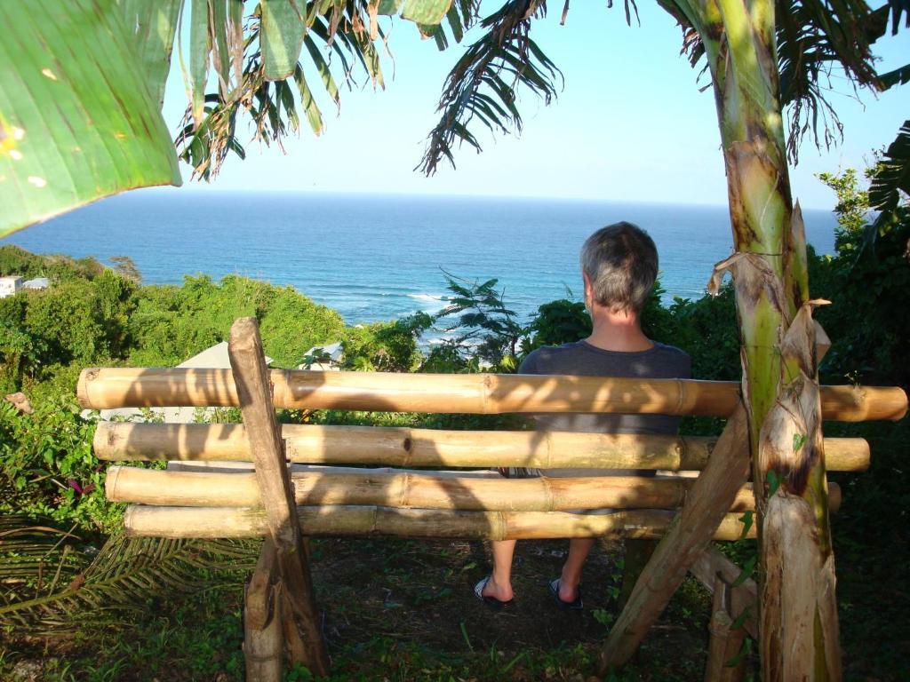 Pimento Alojamento Port Antonio