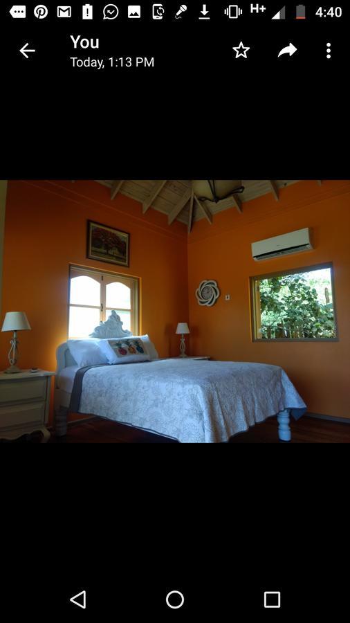 Guest house Mulberry South Coast