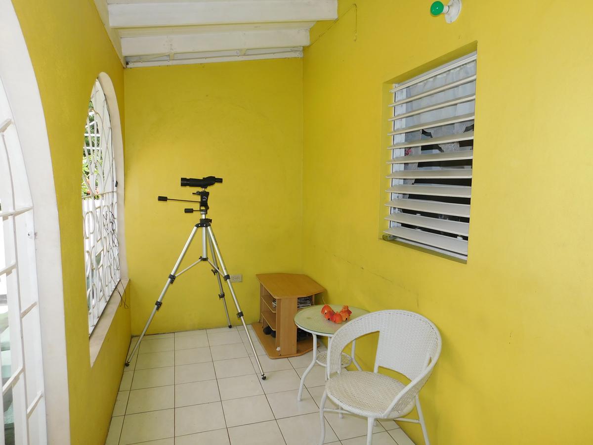 Dancehall Kingston