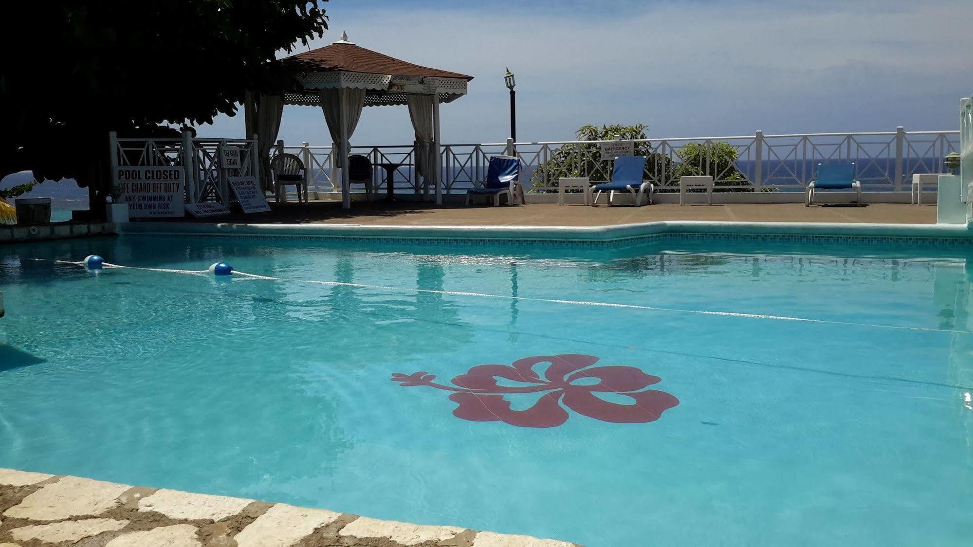 Hibiscus Ocho Rios