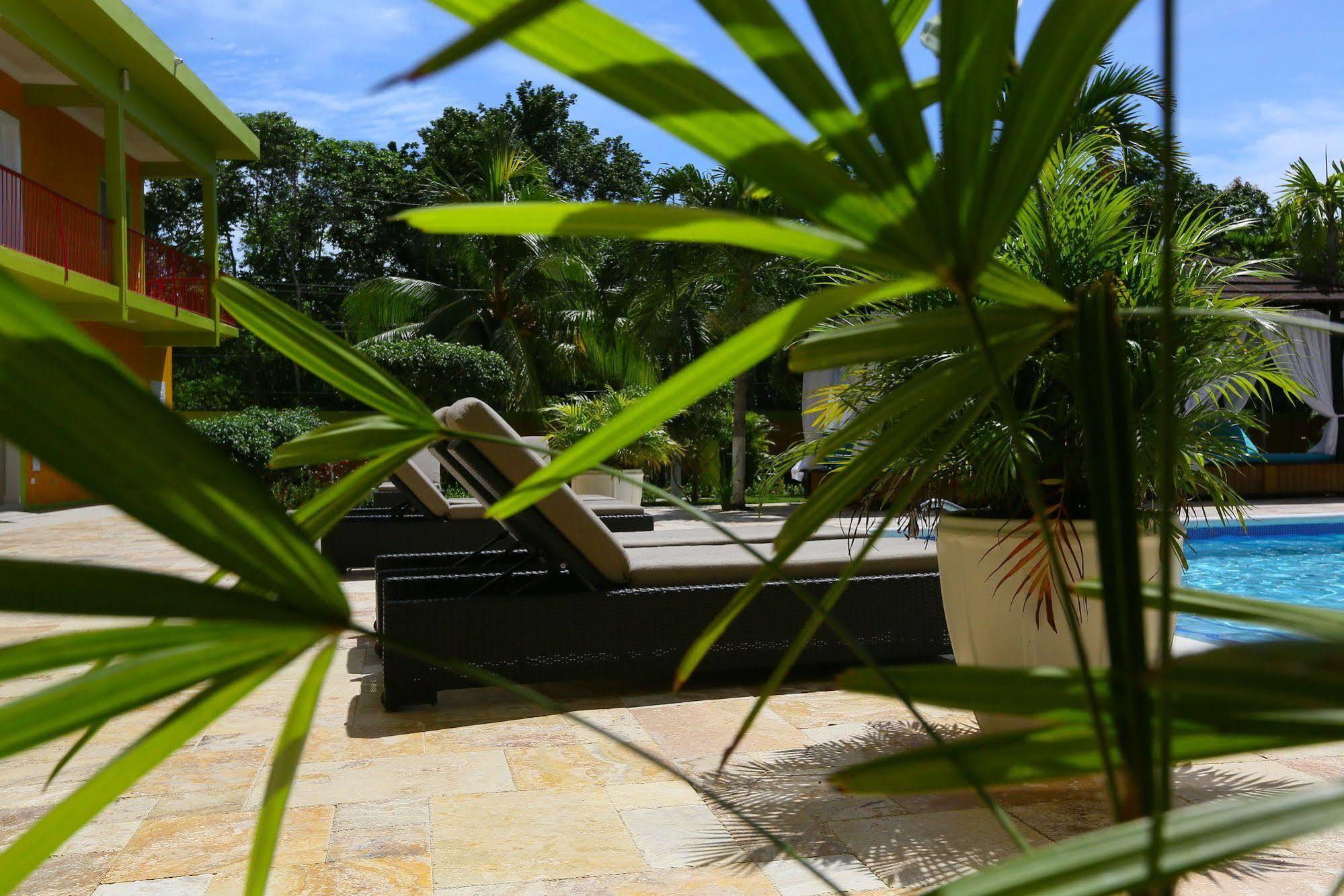 Oasis Hotel 2*