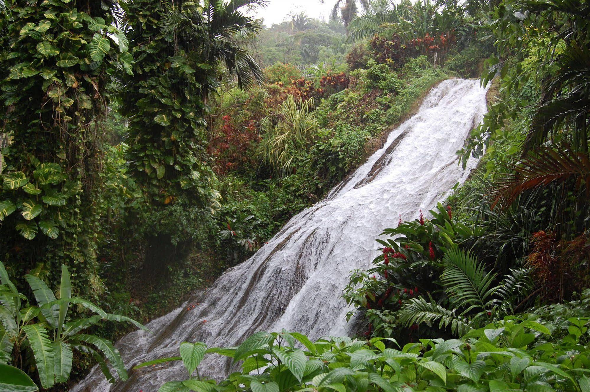 At Shaw Park Gardens & Waterfalls Ocho Rios