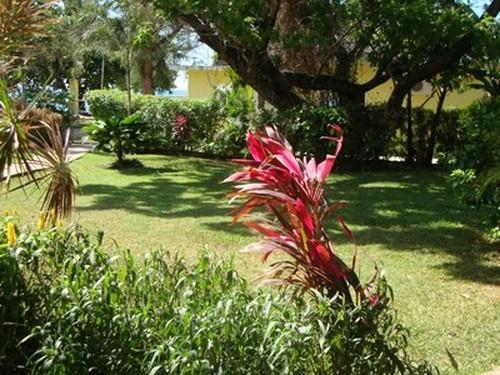Paradise Tropical Spice - Apartment