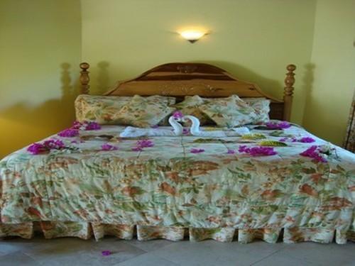 Apartment Paradise Tropical Spice - Runaway Bay