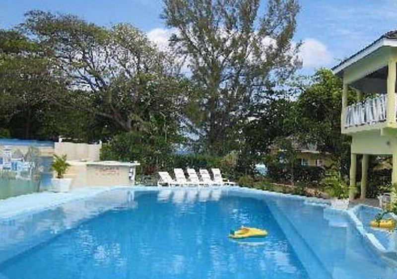 Apartment Paradise Tropical Spice -