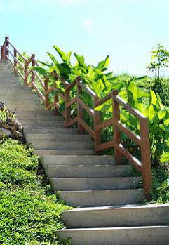 Rhodes Negril Orange Bay