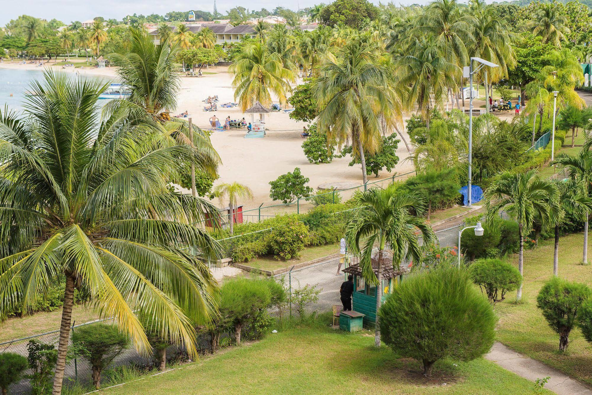Apartment Dolphin Beach Ocho Rios