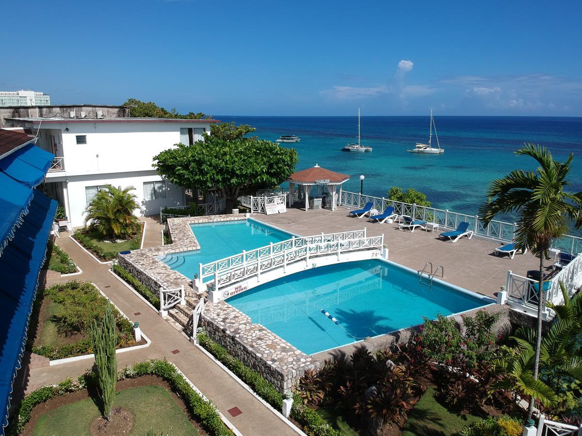 Hibiscus 3*