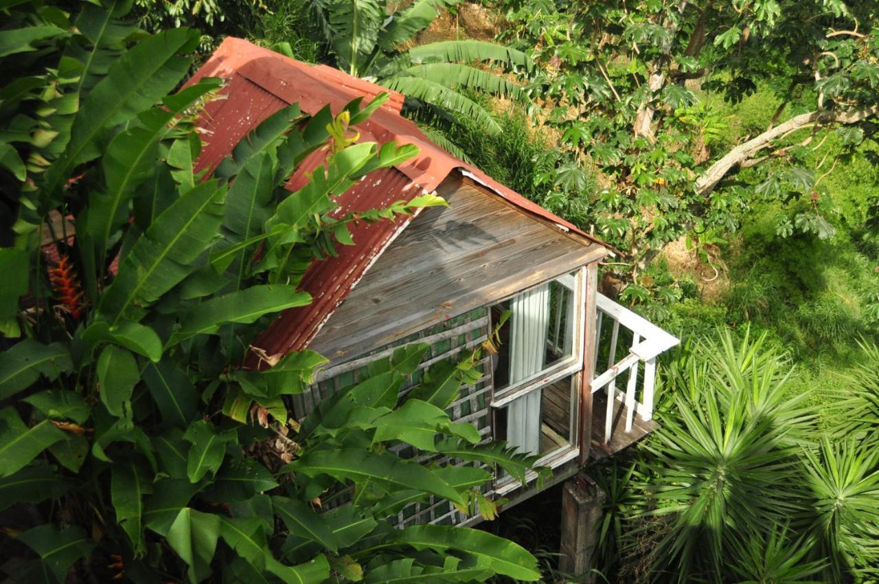 Mount Edge Guest house Port Antonio
