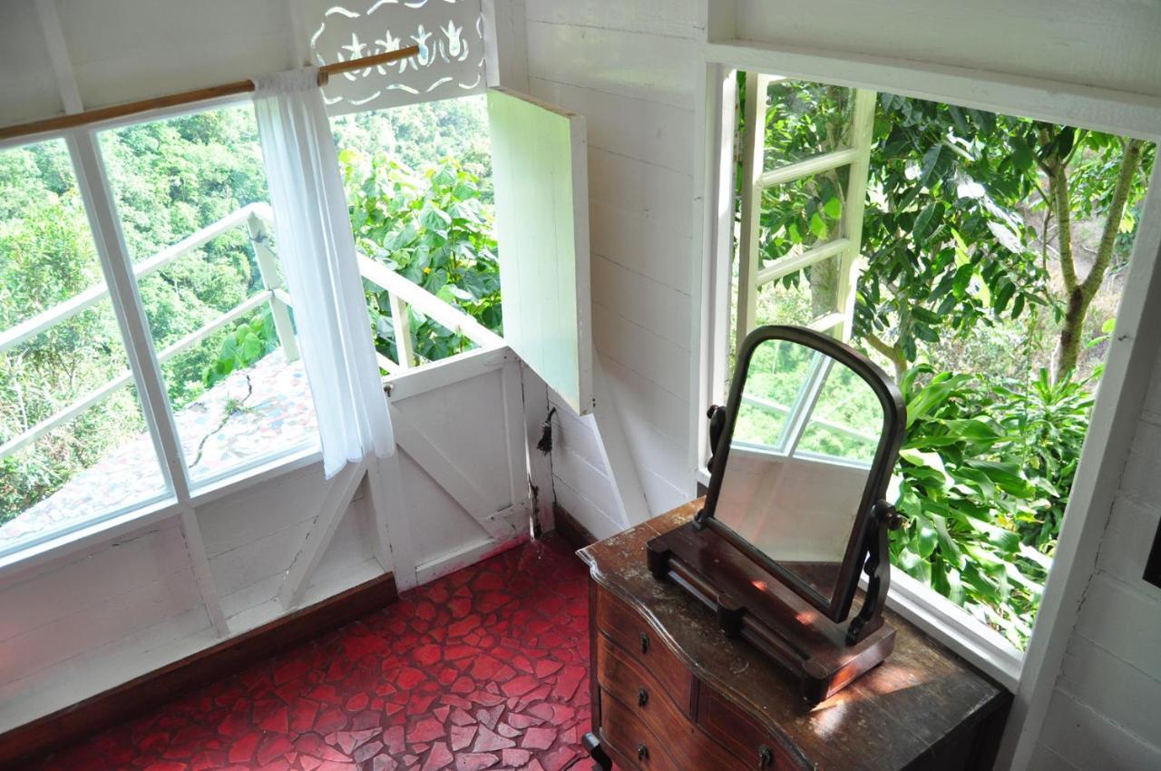 Mount Edge Port Antonio