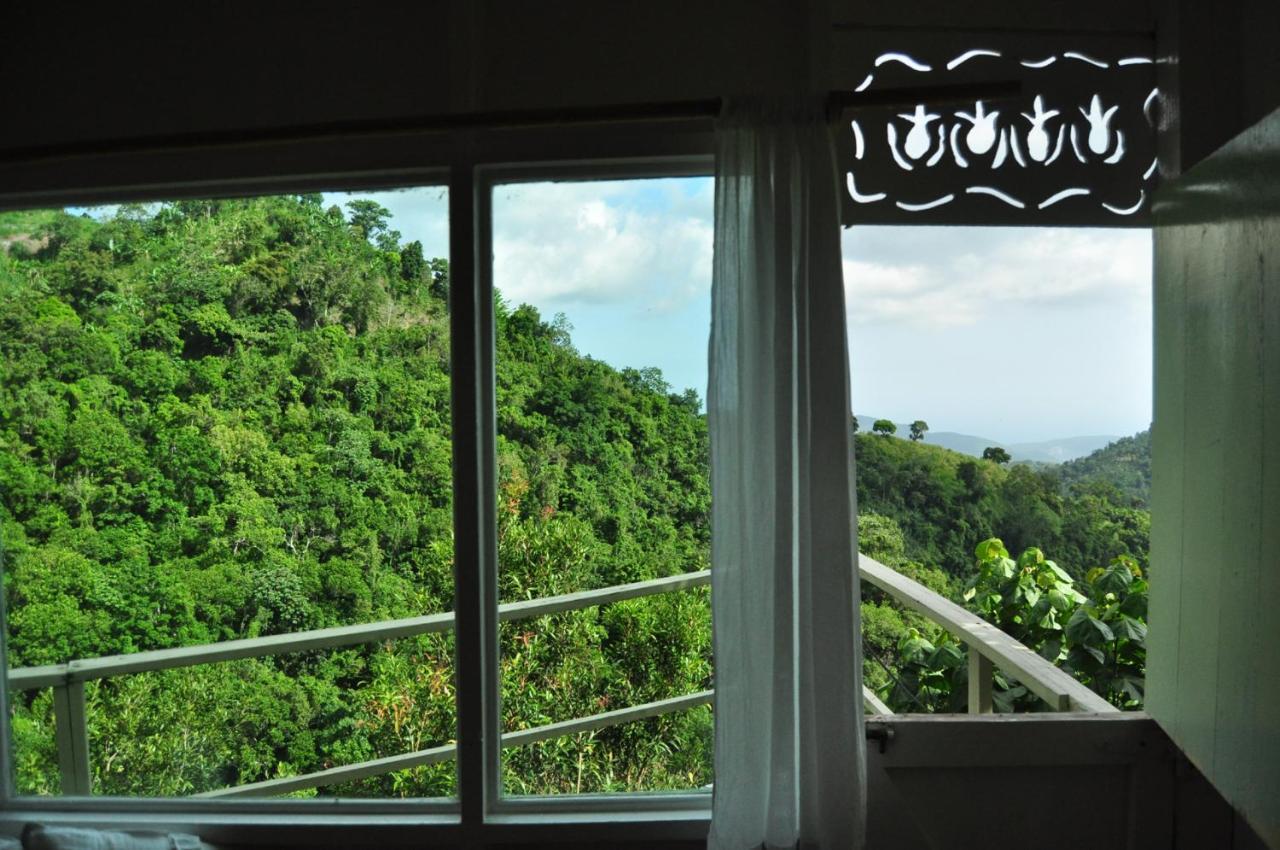 Mount Edge * Port Antonio