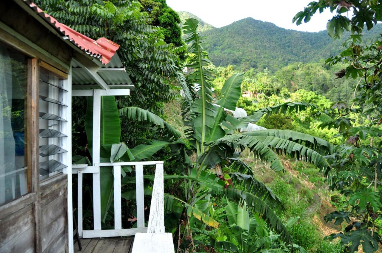Guest house Mount Edge Port Antonio