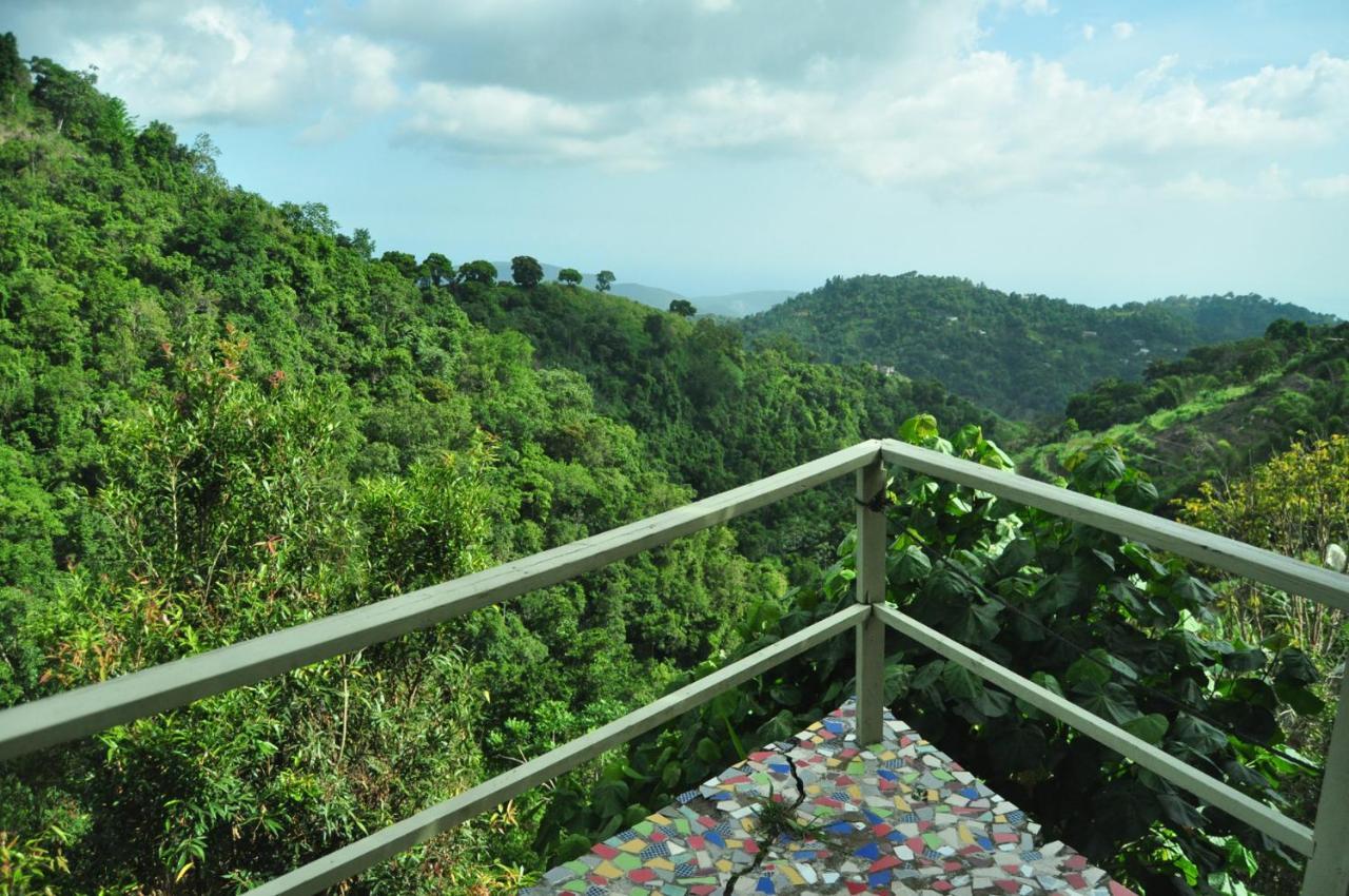 Mount Edge Port Antonio