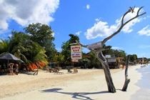 Sungardens 2* Negril