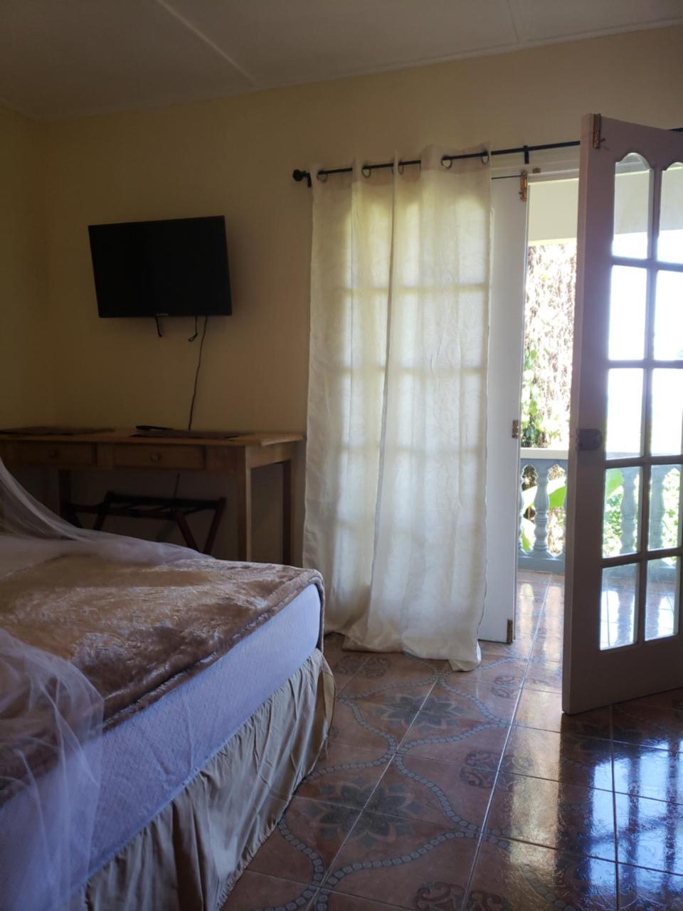 Viva Violas * Port Antonio