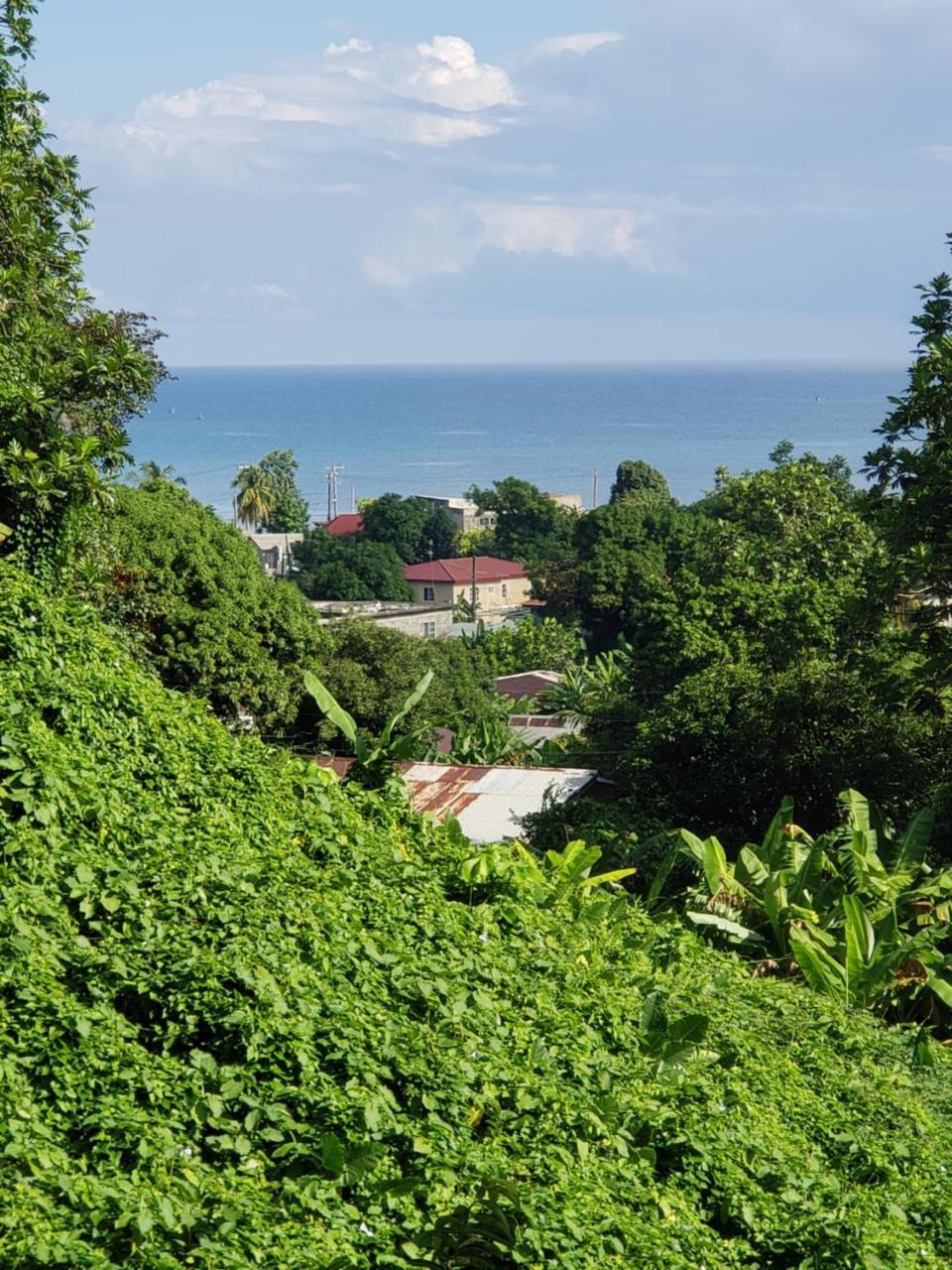 Hostel Viva Violas Port Antonio