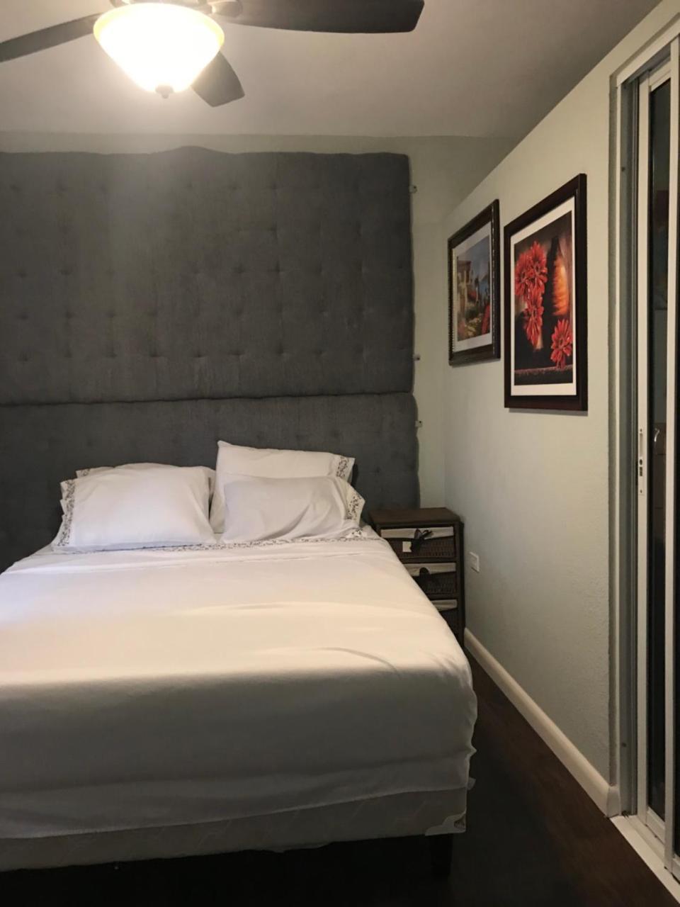 Abacus Jamaica The Zana Apartment