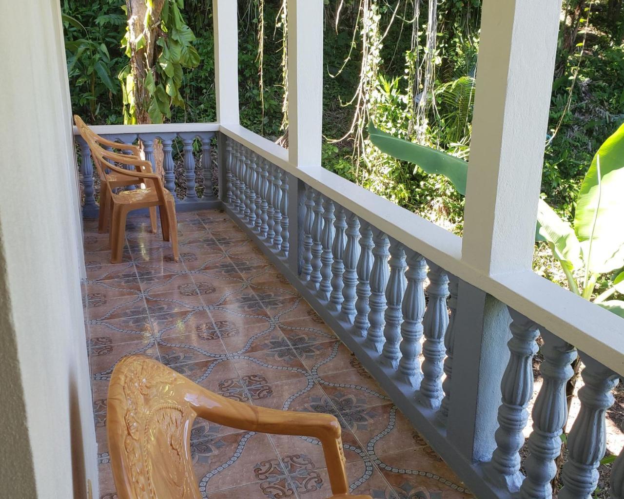 Viva Violas Hostel Port Antonio