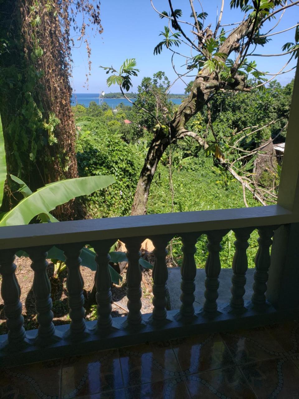 Viva Violas Hostel Port Antonio