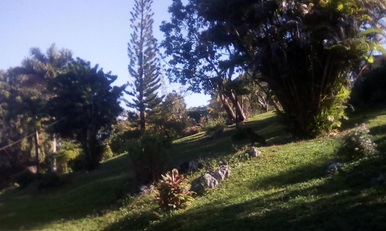 Shotover Gardens Estate *