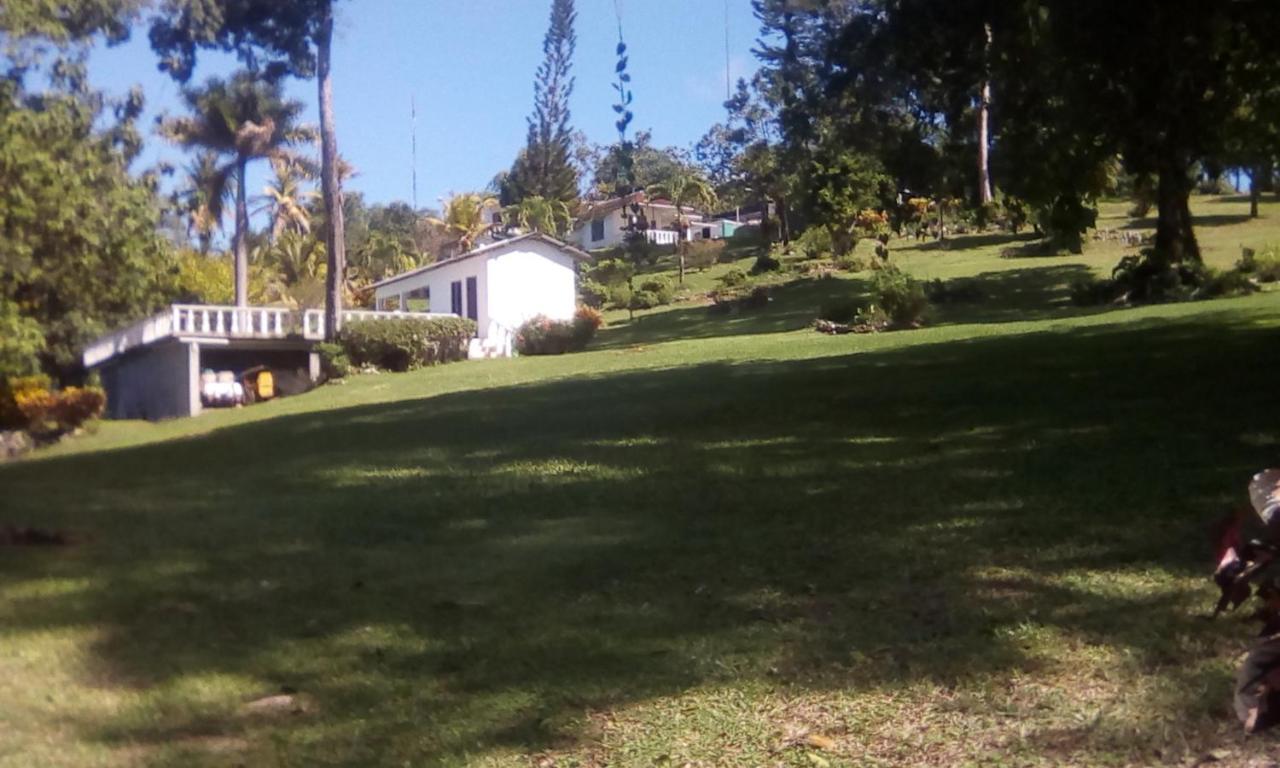 Guest house Shotover Gardens Estate *