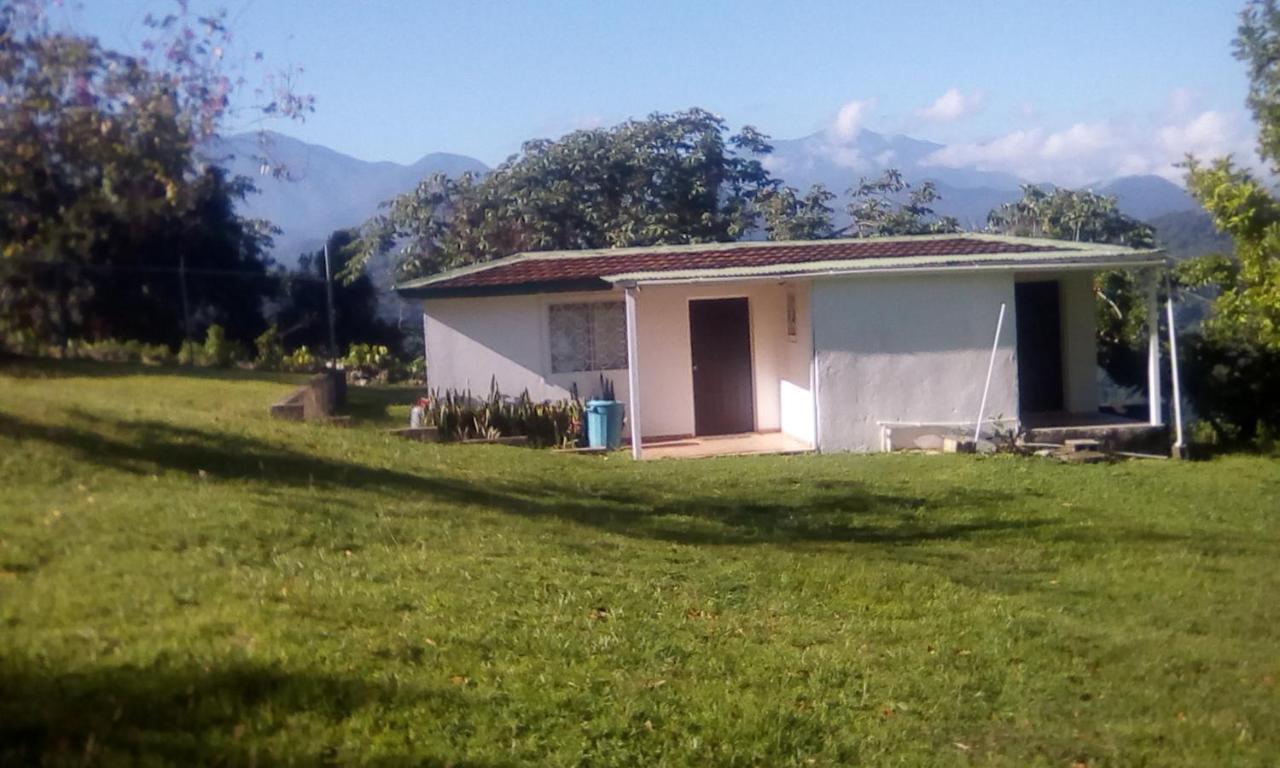 Shotover Gardens Estate * Port Antonio
