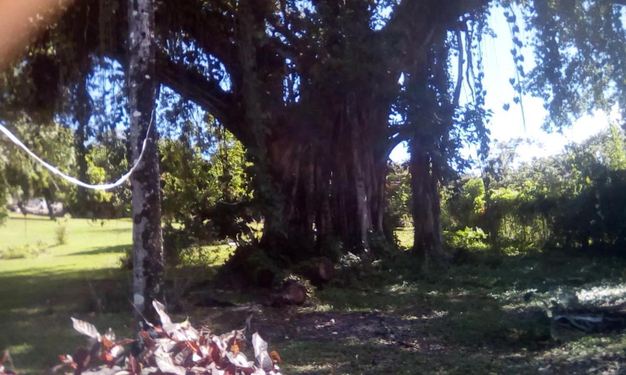 Shotover Gardens Estate Port Antonio