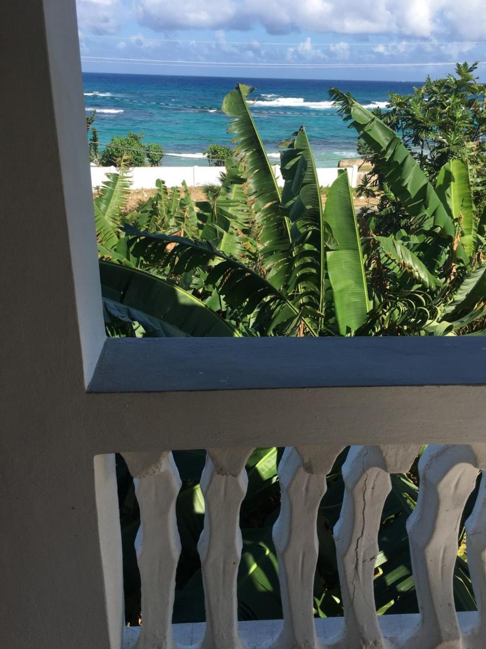 Acomodação com café da manhã  Becaville Port Antonio