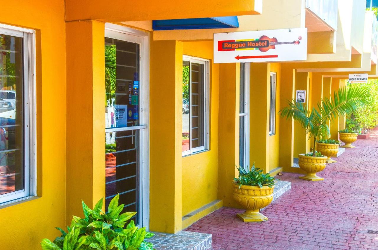 Reggae Albergue
