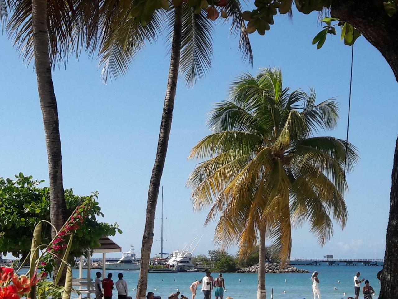 Cool's 1 Bedroom & Garden View Apartment Ocho Rios