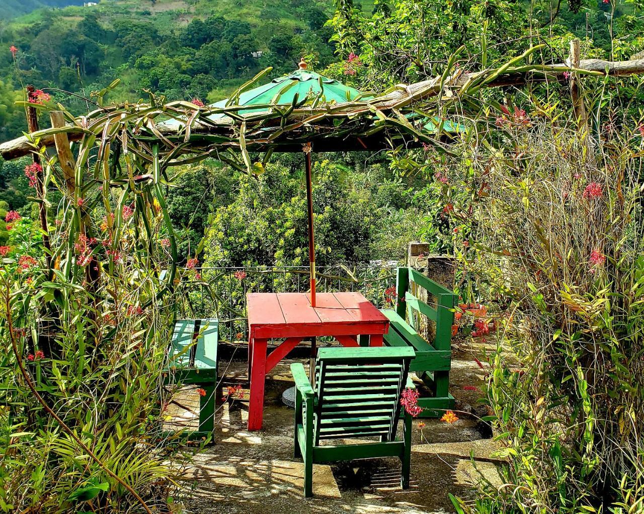 Guest house Valley