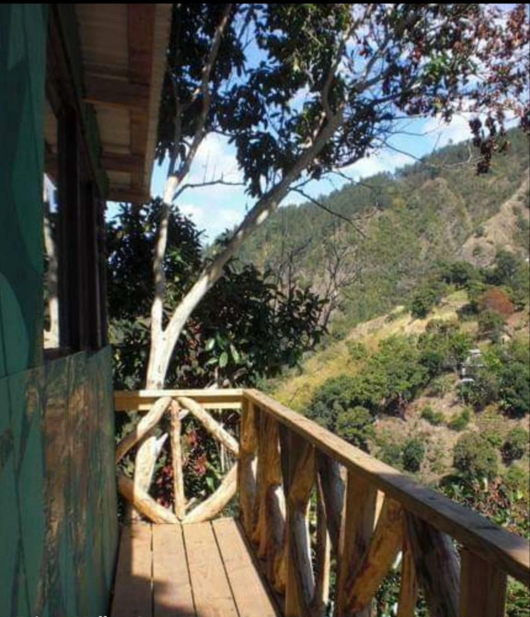 Valley Guest house
